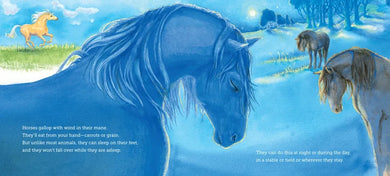 Where Do Creatures Sleep at Night? US - Paperback / softback