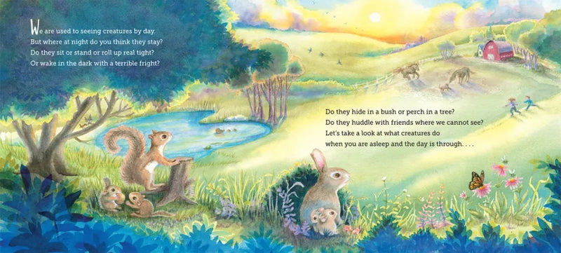 Where Do Creatures Sleep at Night? US - Paperback / softback