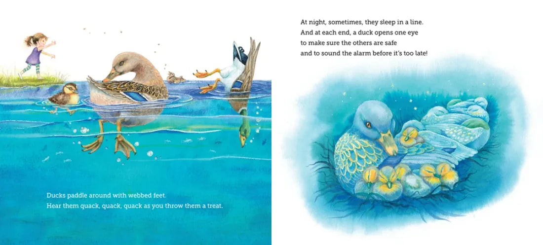 Where Do Creatures Sleep at Night? US - Paperback / softback