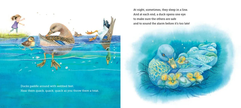 Where Do Creatures Sleep at Night? US - Paperback / softback