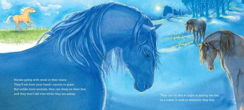 Where Do Creatures Sleep at Night? US - Paperback / softback