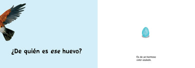 ¿De quién es ese huevo? (Spanish Edition) interior 3 (ISBN 9781623548209)