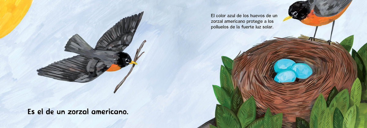 ¿De quién es ese huevo? (Spanish Edition) interior 1 (ISBN 9781623548209)