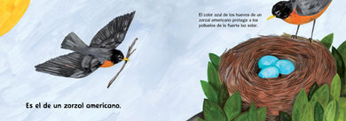¿De quién es ese huevo? (Spanish Edition) interior 1 (ISBN 9781623548209)