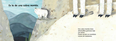 ¿De quién es esa huella? (Spanish Edition) interior 1 (ISBN 9781623548223)