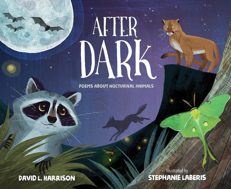 After Dark-Children’s / Teenage general interest: Nature and animals-買書書 BuyBookBook