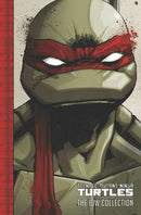 Teenage Mutant Ninja Turtles: The IDW Collection Volume 1-Graphic novel / Comic book / Manga: genres-買書書 BuyBookBook