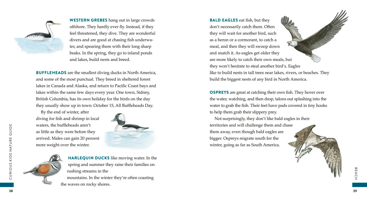 Curious Kids Nature Guide US - Hardback