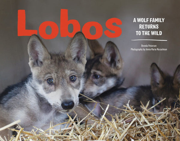 Lobos-Children’s / Teenage general interest: Nature and animals-買書書 BuyBookBook