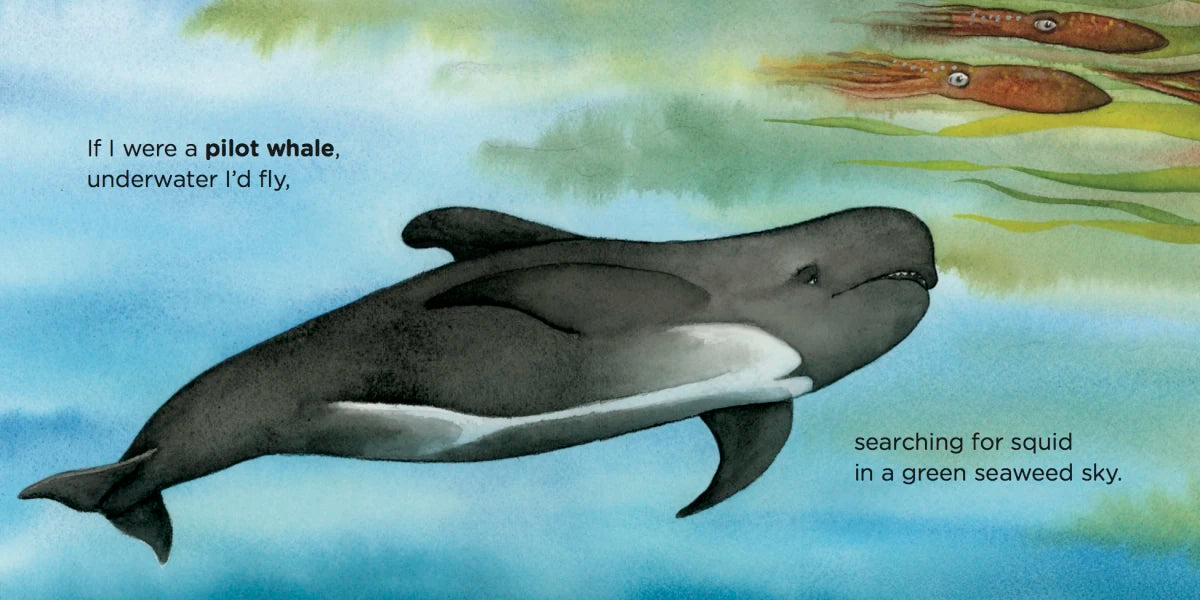 If I Were a Whale US - Board book