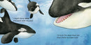 If I Were a Whale US - Board book