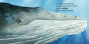 If I Were a Whale US - Board book