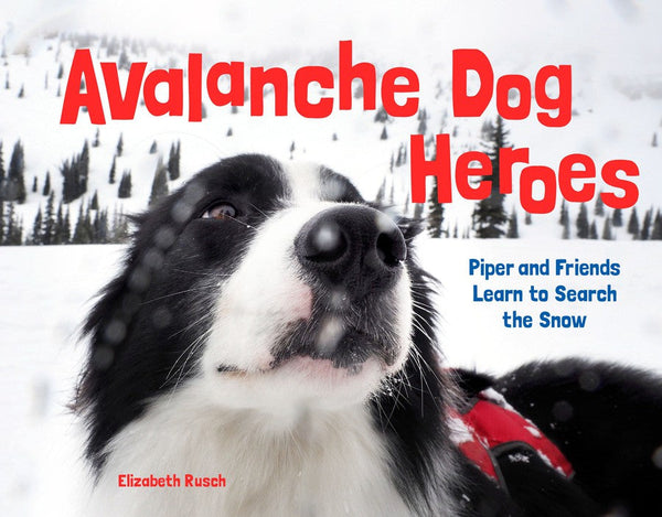 Avalanche Dog Heroes-Children’s / Teenage general interest: Nature and animals-買書書 BuyBookBook