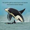 The Breath of a Whale US - Paperback / softback