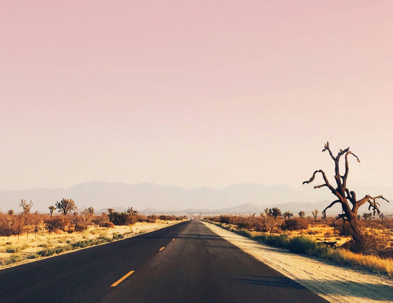 52 Lists for Togetherness US - Diary or journal