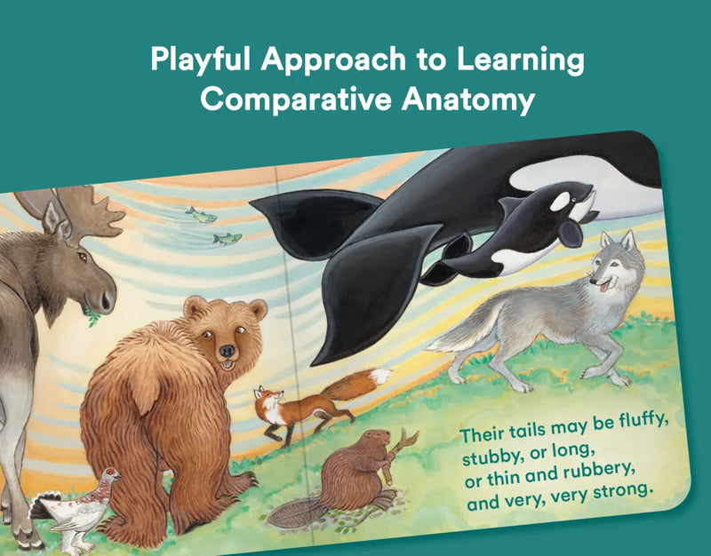 Alaska's Animals US - Board book