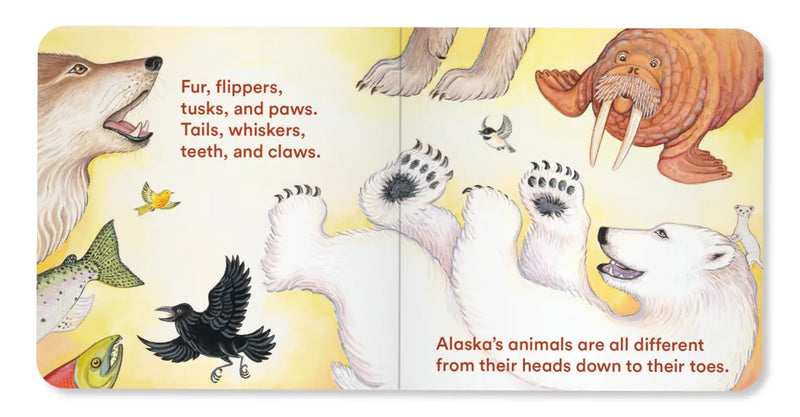 Alaska's Animals US - Board book