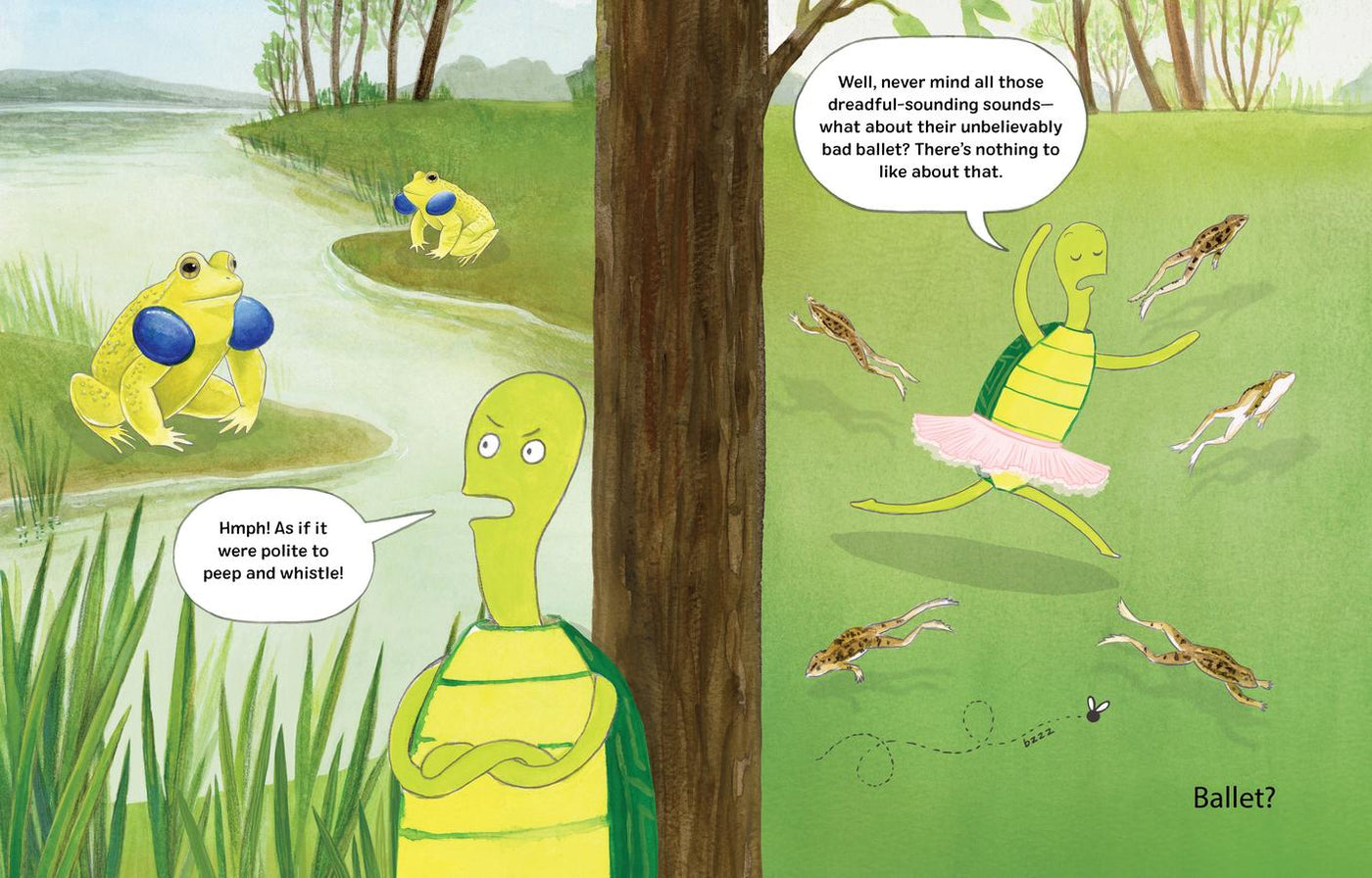 Nobody Likes Frogs US - Hardback