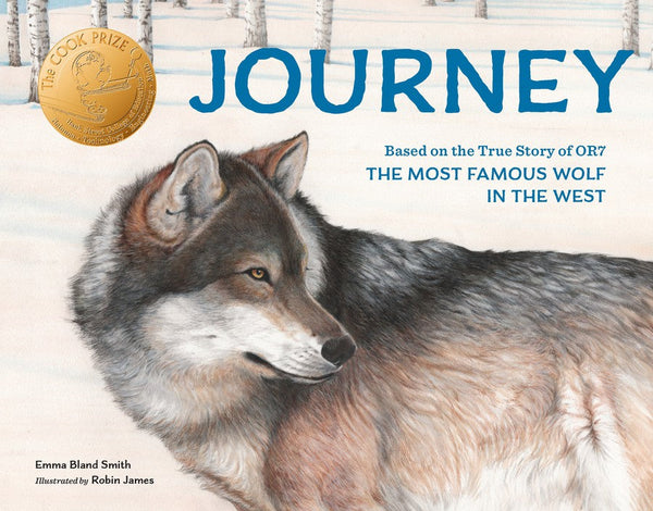 Journey-Children’s / Teenage fiction: Nature and animal stories-買書書 BuyBookBook