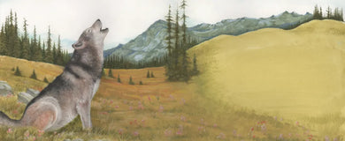 Journey US - Paperback / softback