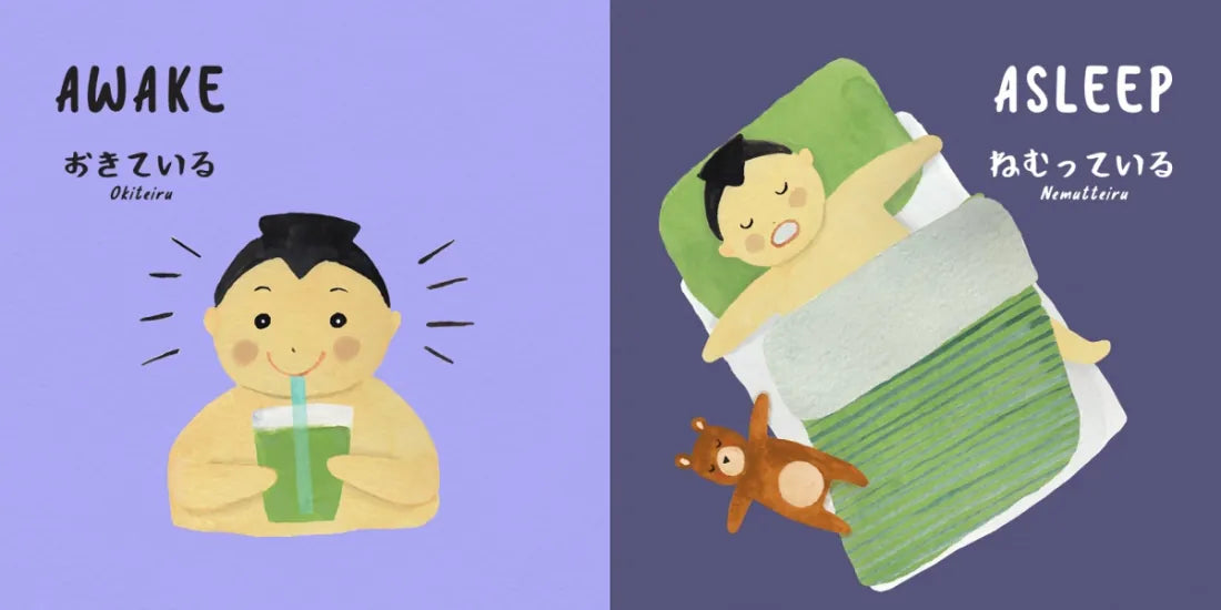 Sumo Opposites US - Board book