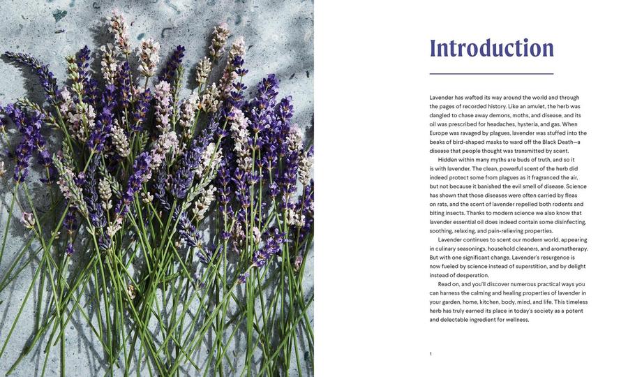 Lavender US - Hardback
