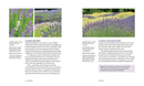 Lavender US - Hardback
