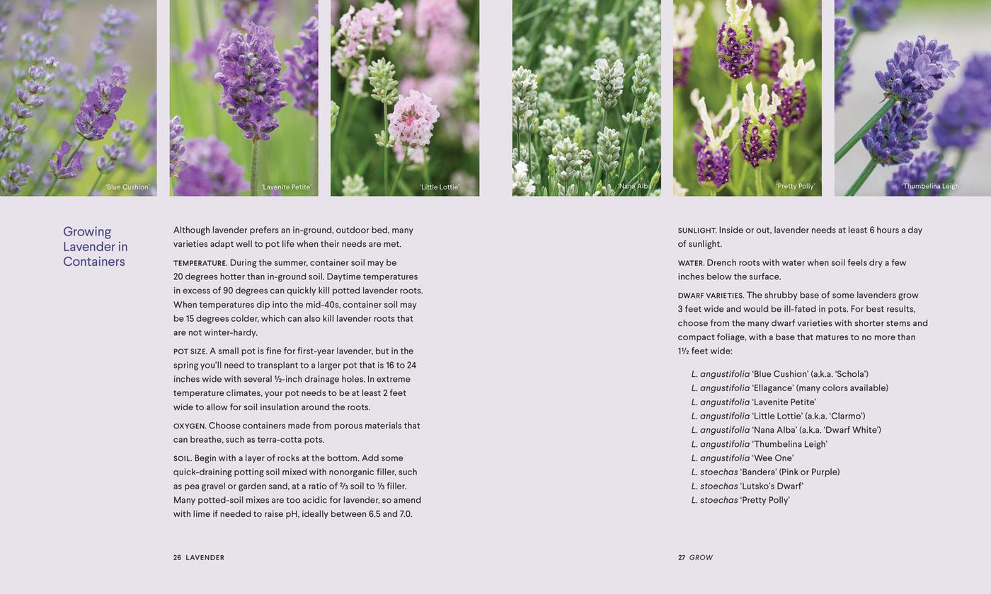 Lavender US - Hardback