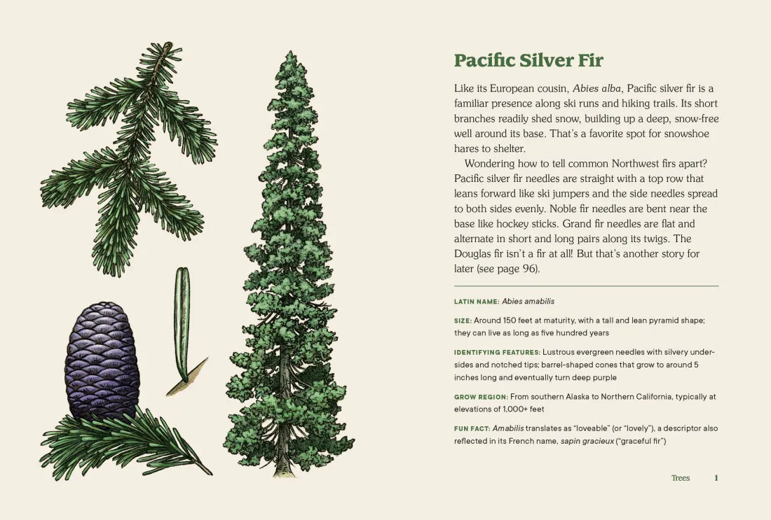 Northwest Know-How: Trees US - Hardback