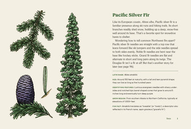 Northwest Know-How: Trees US - Hardback