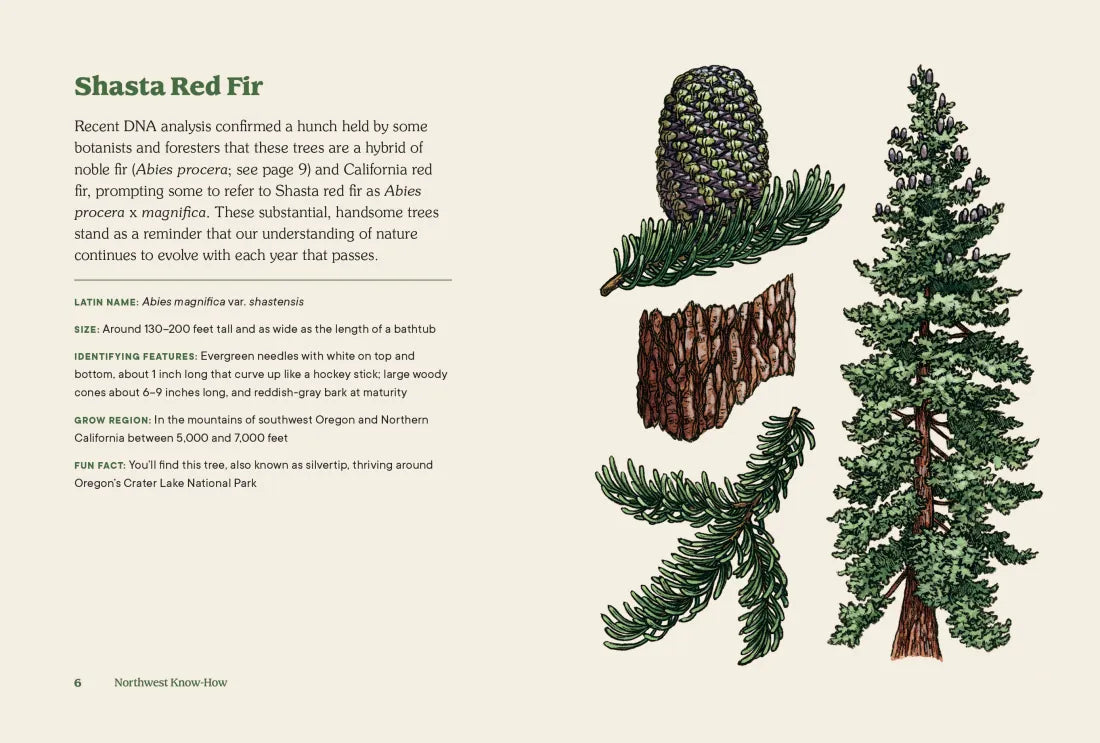 Northwest Know-How: Trees US - Hardback
