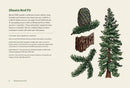 Northwest Know-How: Trees US - Hardback