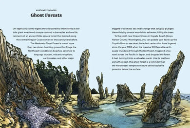 Northwest Know-How: Trees US - Hardback