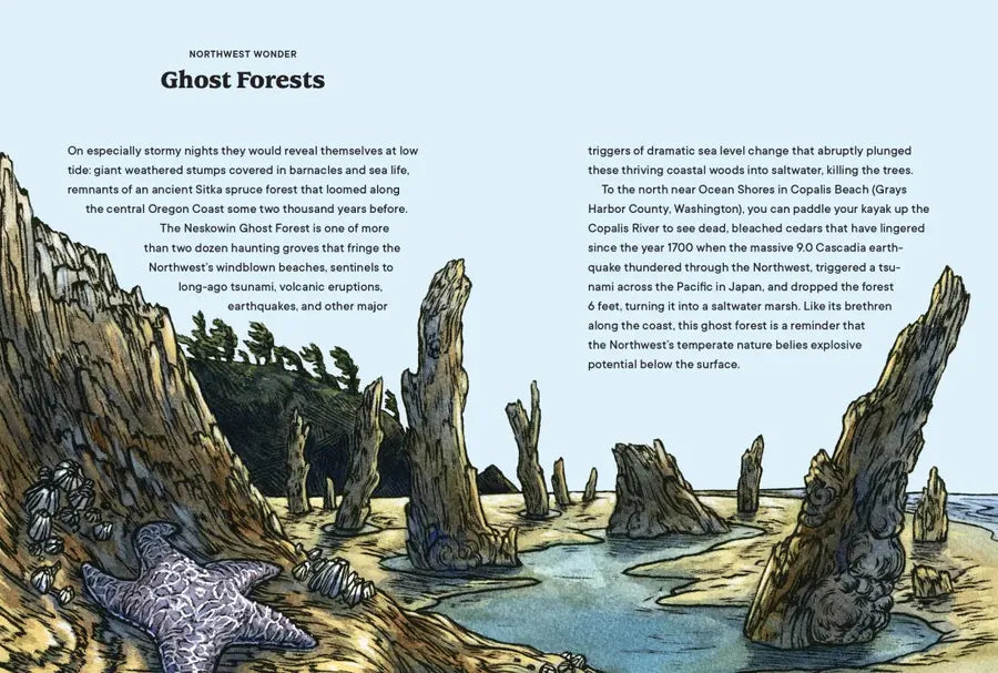 Northwest Know-How: Trees US - Hardback