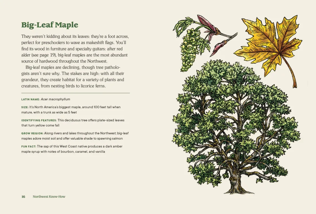 Northwest Know-How: Trees US - Hardback