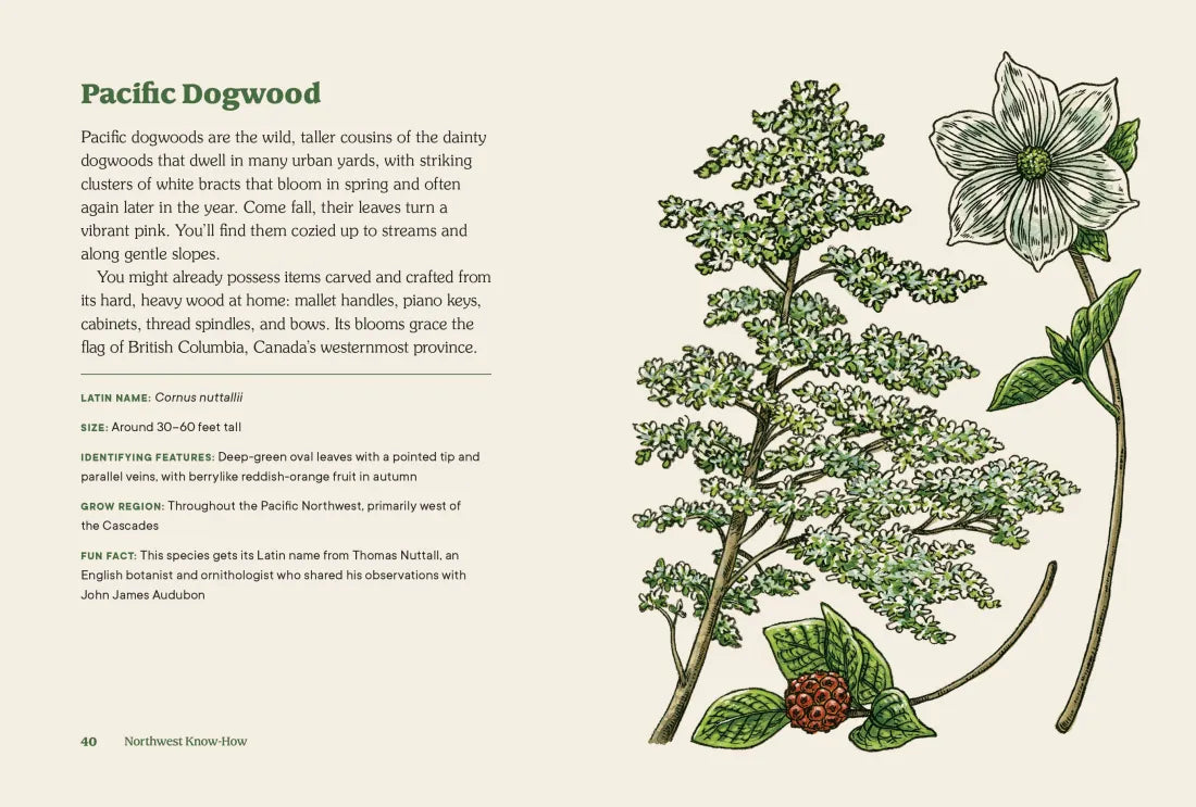 Northwest Know-How: Trees US - Hardback