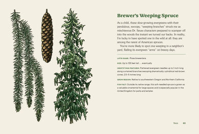 Northwest Know-How: Trees US - Hardback