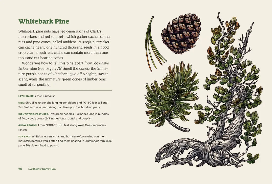 Northwest Know-How: Trees US - Hardback