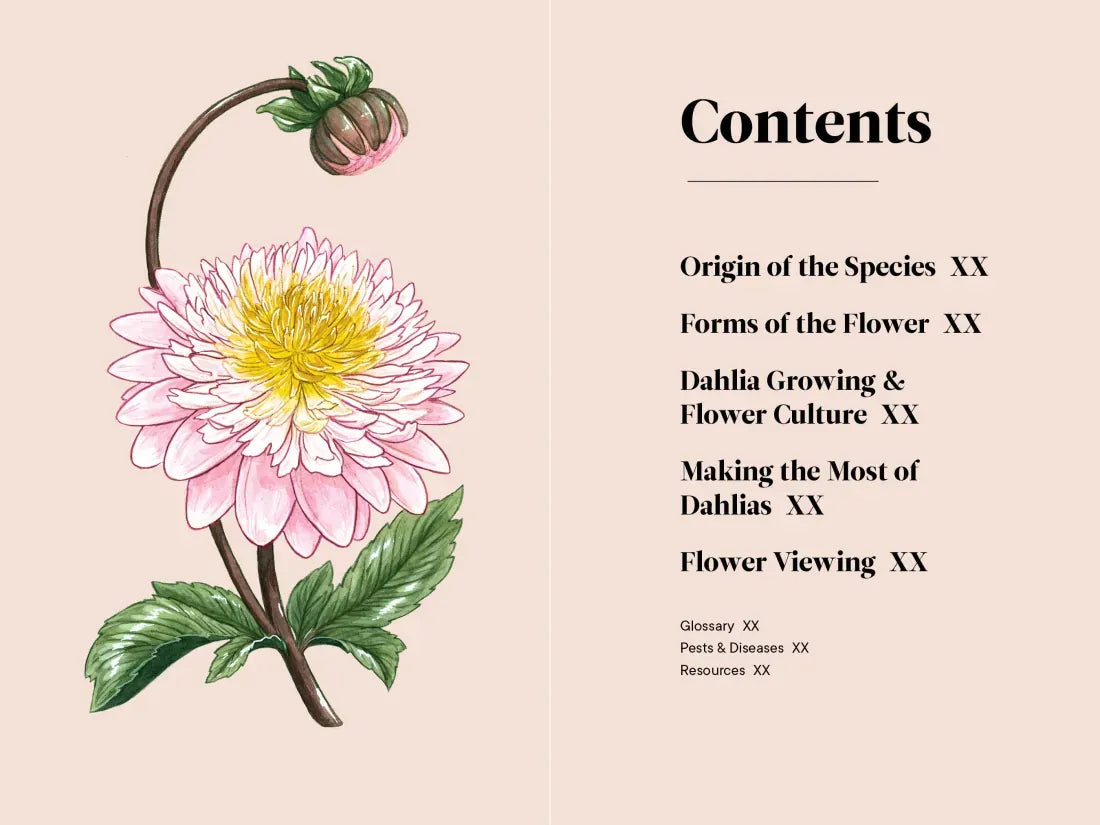 Dahlias US - Hardback