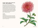 Dahlias US - Hardback