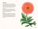 Dahlias US - Hardback