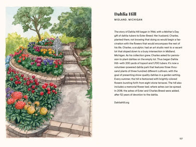 Dahlias US - Hardback
