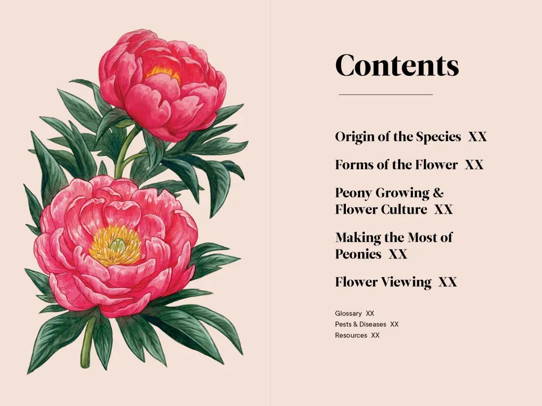 Peonies US - Hardback