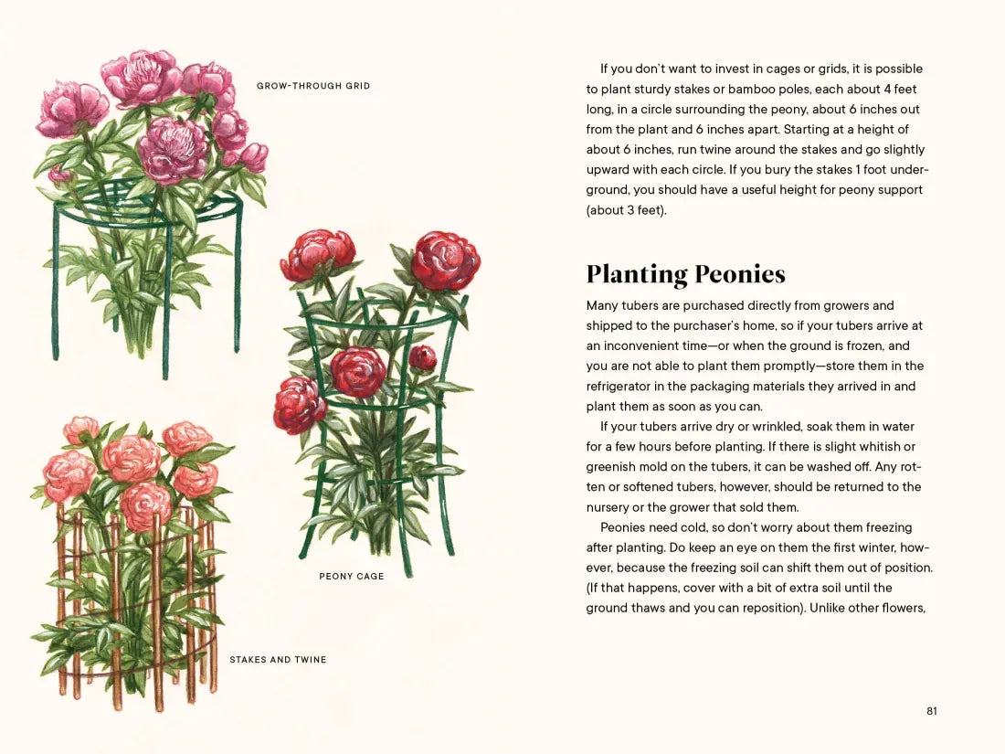 Peonies US - Hardback