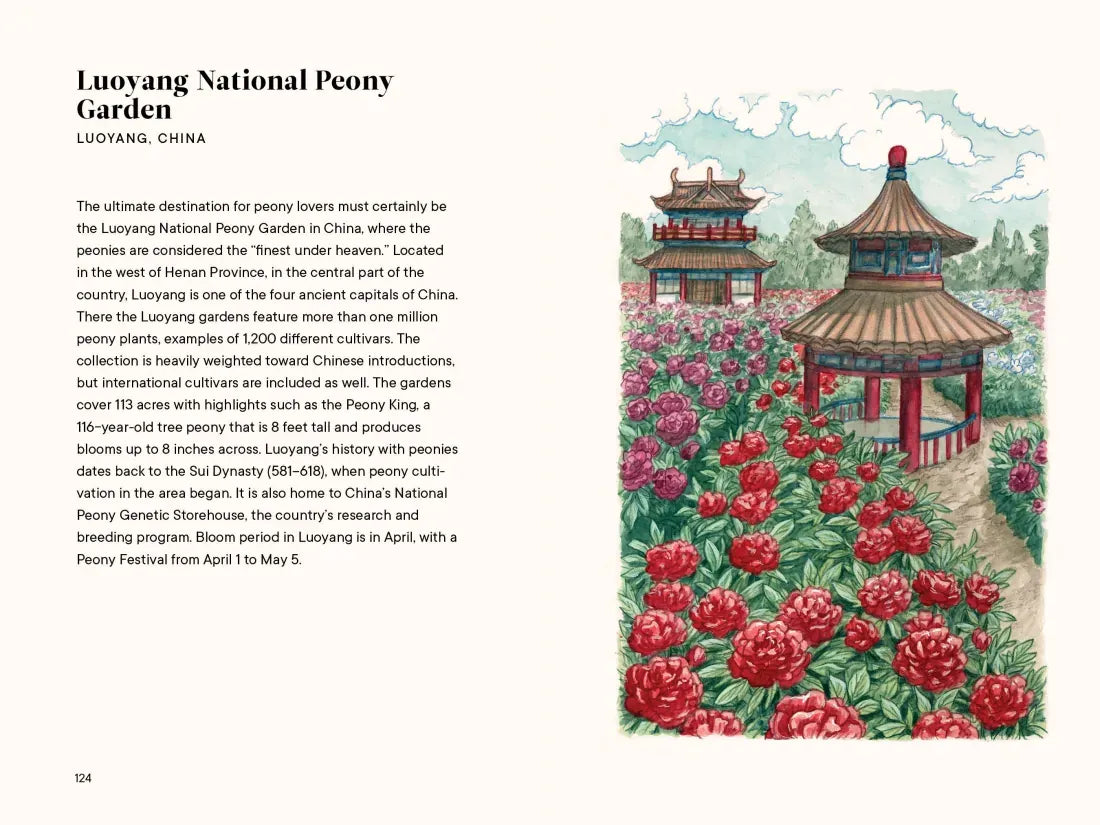 Peonies US - Hardback