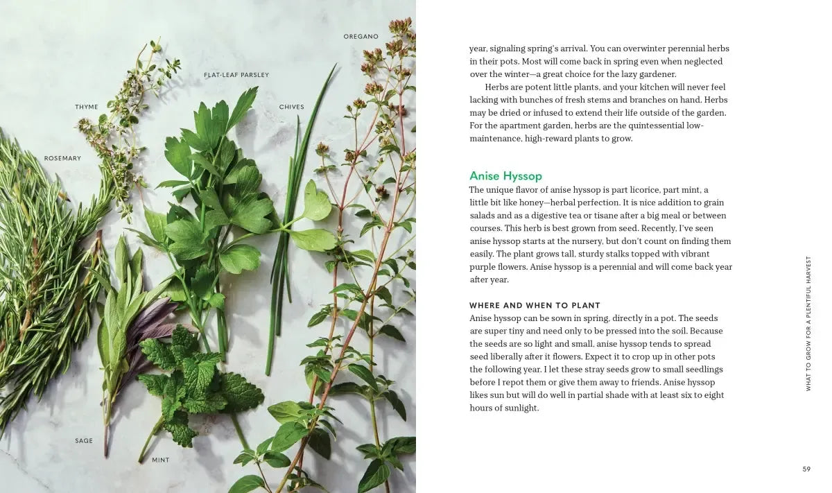 Tiny Space Gardening US - Paperback / softback