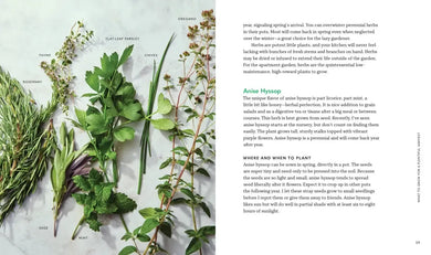 Tiny Space Gardening US - Paperback / softback