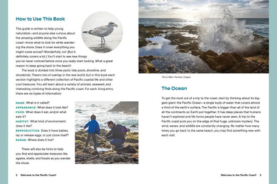 Let’s Explore the Beach! US - Paperback / softback