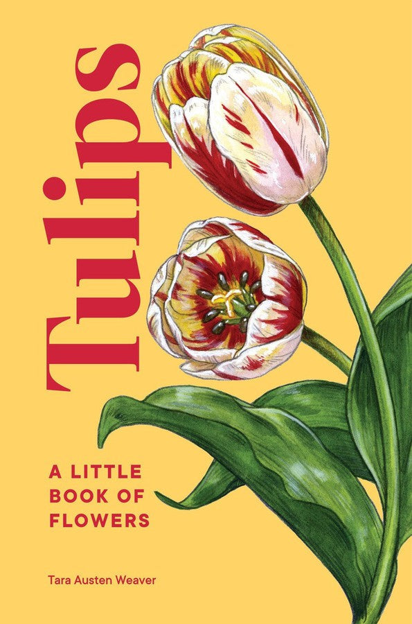 Tulips-Lifestyle and Leisure-買書書 BuyBookBook