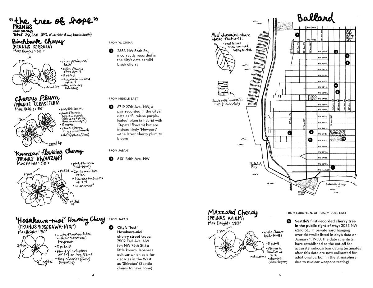 Street Trees of Seattle US - Paperback / softback